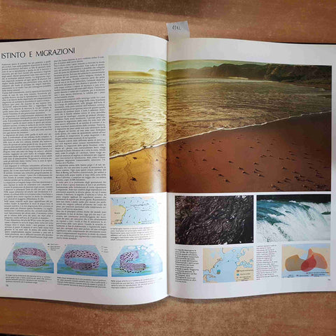 GRANDE ATLANTE DEGLI OCEANI 1978 DE AGOSTINI