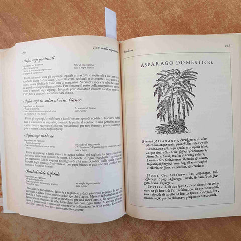 LAURA RANGONI - NEWTON & COMPTON 1000 RICETTE DI CUCINA VEGETARIANA 2004