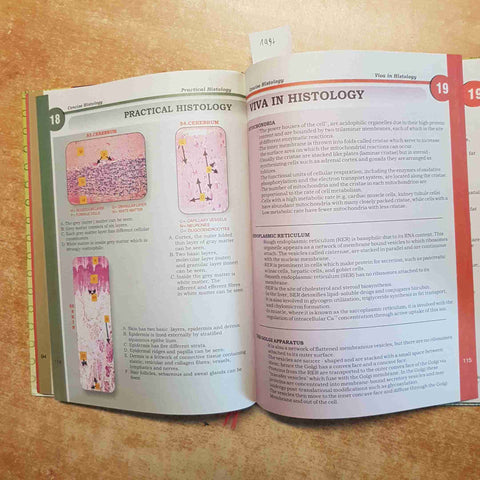 CONCISE HISTOLOGY A TEXTBOOK FOR MEDICAL STUDENTS AND DOCTORS multi color 2010