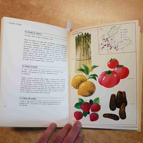 LUIGI VERONELLI - MONDADORI - IL LIBRO DELLE CONSERVE frutta verdura cacciagione