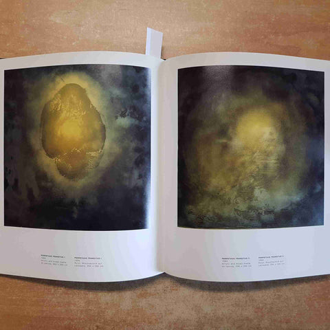 HELMUT SCHOBER - LIGHT - LICHT 1998 ELECTA catalogo illustrato arte pittura