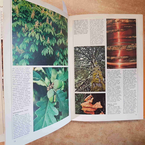 I MANUALI DEL FOTOGRAFO LA NATURA TECNICHE DI RIPRESA E ATTREZZATURE 1980 IZZI