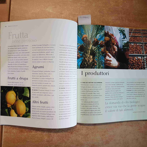 VIVERE BIOLOGICO  GUIDA PRATICA PER UNO STILE DI VITA NATURALE 2001 BROWN LYNDA