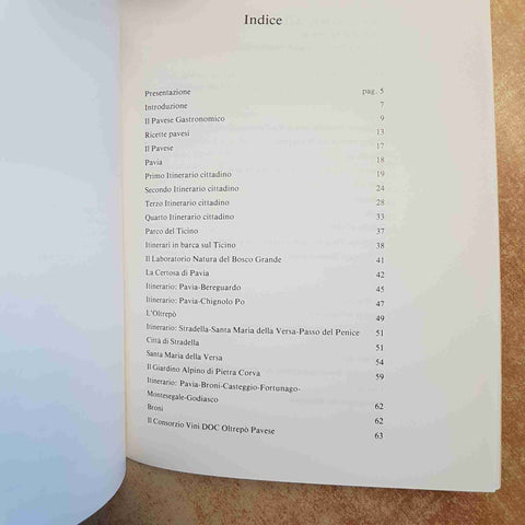IL GRAN PAVESE ITINERARI IN PROVINCIA DI PAVIA 1983 BRONI GARLASCO MEDA CERTOSA