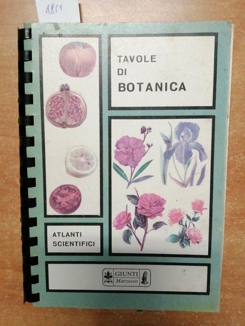 TAVOLE DI BOTANICA - ATLANTI SCIENTIFICI - GIUNTI MARZOCCO - 1967 - (4851