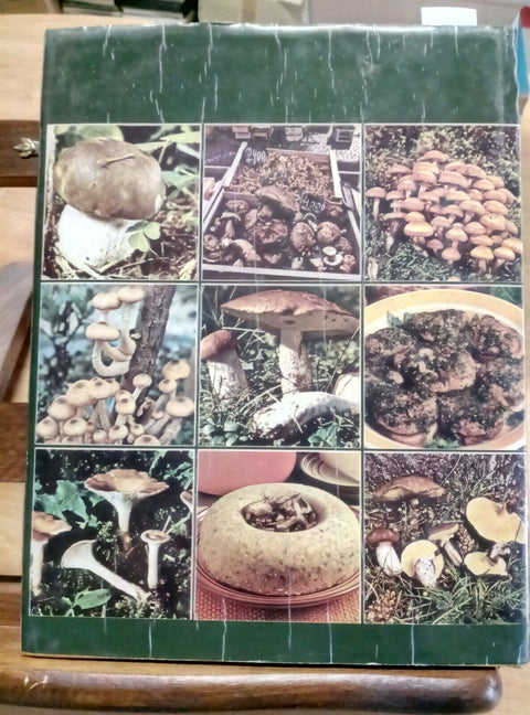 I FUNGHI CERCARLI CONOSCERLI CUCINARLI - RARIS - FABBRI 1974 MOLTE SCHEDE (