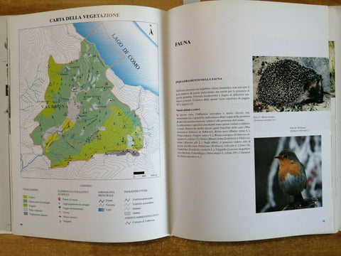 Elisabetta Rurali - VALBRONA NATURA STORIA ARTE 2004 Ed. Bellavite (5163