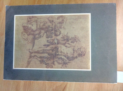 DIONYSOS 1986 - TORGIANO CATALOGO MOSTRE BANCO ASSAGGIO VINI D'ITALIA (251