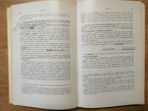 PIANTE OFFICINALI ITALIANE - GIUSEPPE LODI - 1975 - EDIZIONI AGRICOLE - (40