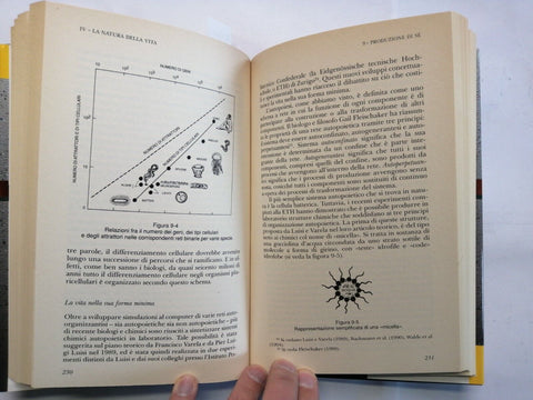 FRITJOF CAPRA La rete della vita. Nuova visione della natura1999 EUROCLUB (