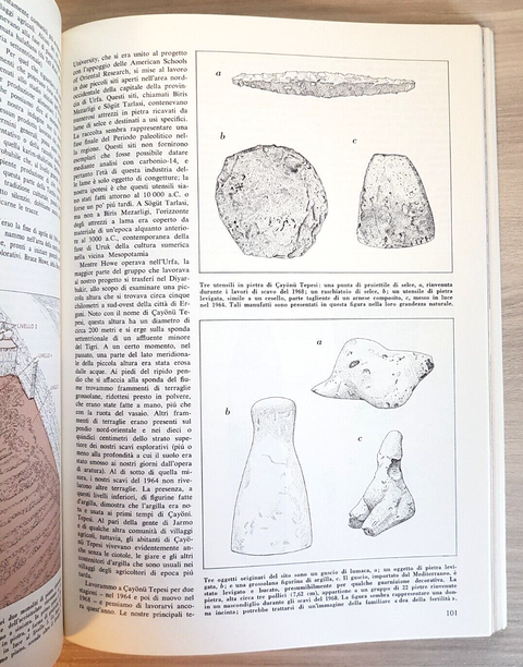 PALETNOLOGIA E ARCHEOLOGIA dal Paleolitico all'antichit 1973 LE SCIENZE (