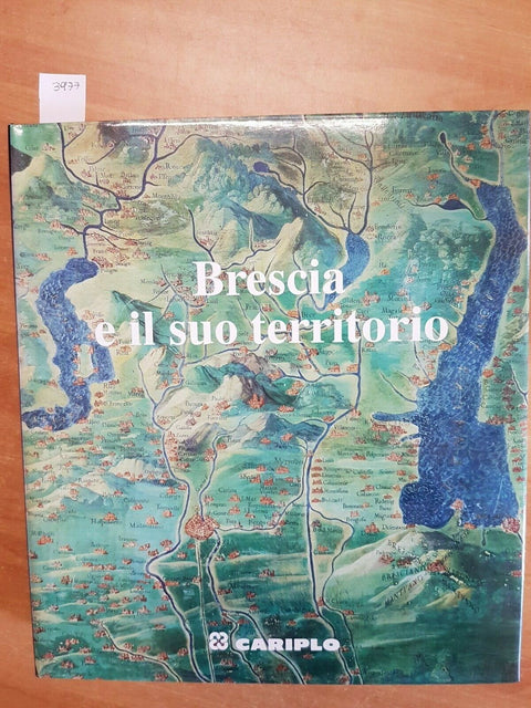 BRESCIA E IL SUO TERRITORIO - RUMI COVA MEZZANOTTE - 1996 CARIPLO (3977