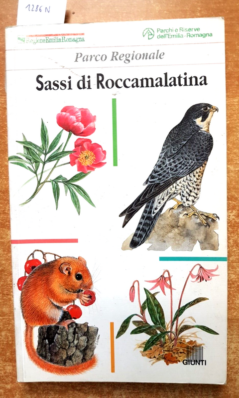 SASSI DI ROCCAMALATINA Parco Regionale + 2 CARTOLINE OMAGGIO 1996 Giunti (1