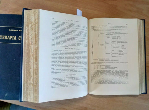 TRATTATO DI TERAPIA CLINICA CON NOTE DI DIAGNOSTICA 1941 MESSINI - UTET (18