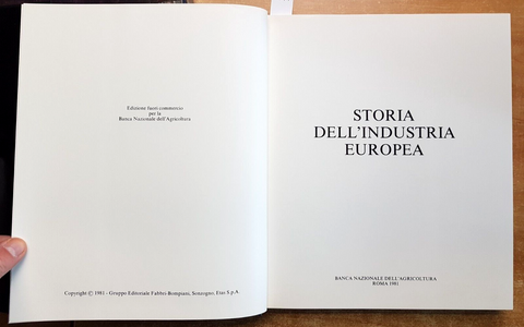 STORIA DELL'INDUSTRIA EUROPEA 1981 BNA siderurgia meccanica manifatturiero5913A