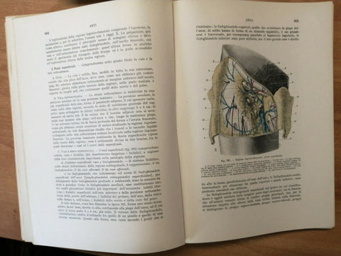 TESTUT JACOB - ANATOMIA TOPOGRAFICA - 2 VOLUMI - ILLUSTRAZIONI A COLORI (34