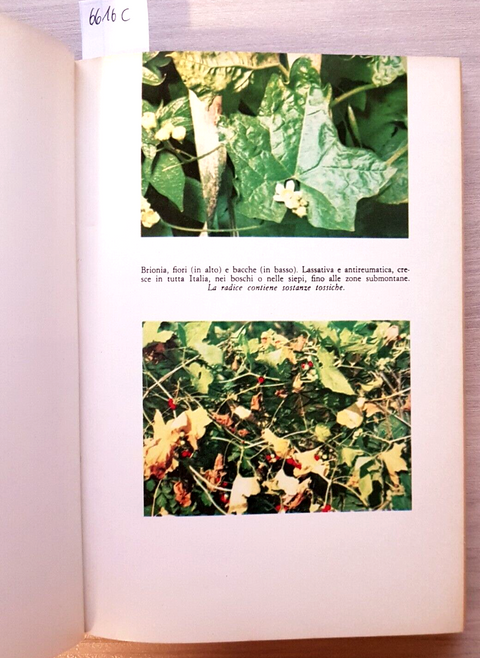 CURATEVI CON LE ERBE manuale medico pratico VARVELLO 1967 DE VECCHI medicina