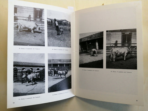 MARIUS PICTOR FOTOGRAFO L'album fotografico di Mario De Maria 1979 Longanesi702