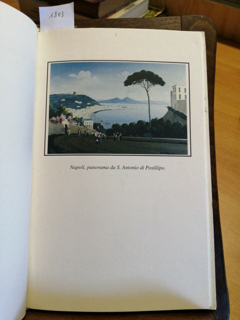 LA MEMORIA DEL PAESAGGIO LE GOUACHES DI GENNARO ROSSANO NAPOLI CAPRI POMPEI