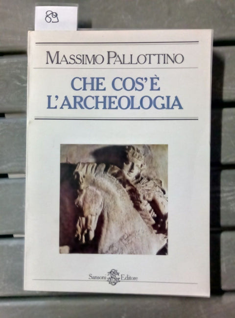 CHE COS'E' L'ARCHEOLOGIA PALLOTTINO SANSONI 1980 - ILLUSTRATO - 089 -