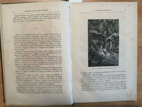 MAYNE- REID IL DESERTO D'ACQUA NELLA FORESTA 1874 ED. LOMBARDA 27 INCISIONI