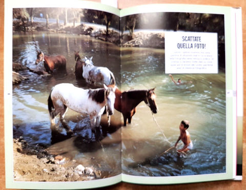 FOTOGRAFARE Trucchi e segreti per non sbagliare mai - 1995 John Hedgecoe (4