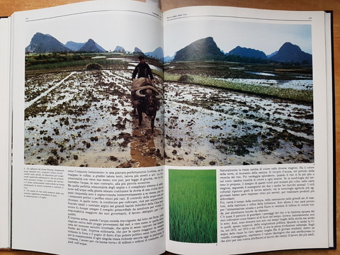 VIAGGIO NELLA GEOGRAFIA paesaggi naturali, umani, uomo 1985 Touring Club