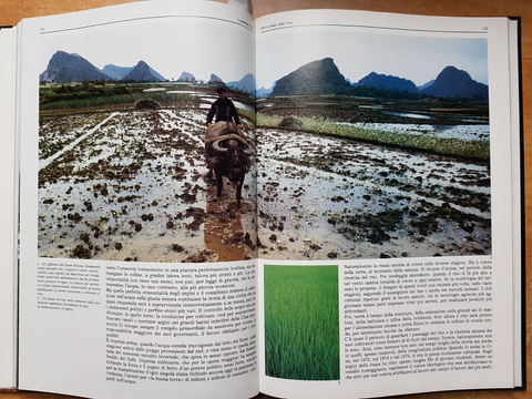 VIAGGIO NELLA GEOGRAFIA paesaggi naturali, umani, uomo 1985 Touring Club (1