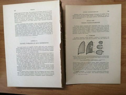 TESTUT JACOB - ANATOMIA TOPOGRAFICA - 2 VOLUMI - ILLUSTRAZIONI A COLORI (34