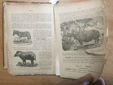 STORIA ILLUSTRATA DEL REGNO VEGETALE ANIMALE MINERALE 3 LIBRI IN 1 LOESCHER