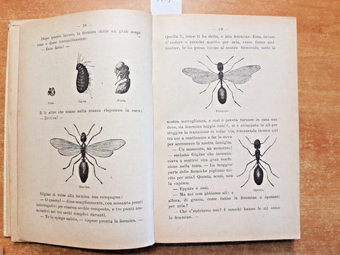 CIONDOLINO - VAMBA Luigi Bertelli 1931 BEMPORAD 128 illustrazioni CHIOSTRI