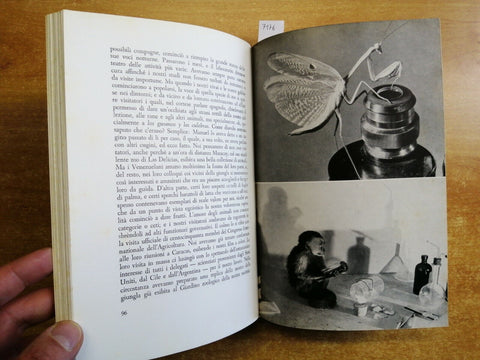 William Beebe - ALTA GIUNGLA - Martello - 1956 - Entomologia zoologia FOTO(