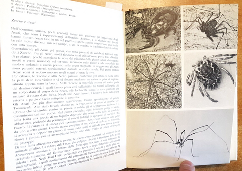 IL MONDO DEGLI ANIMALI Gli Invertebrati 1971 Mondadori 180 ILLUSTRAZIONI (5