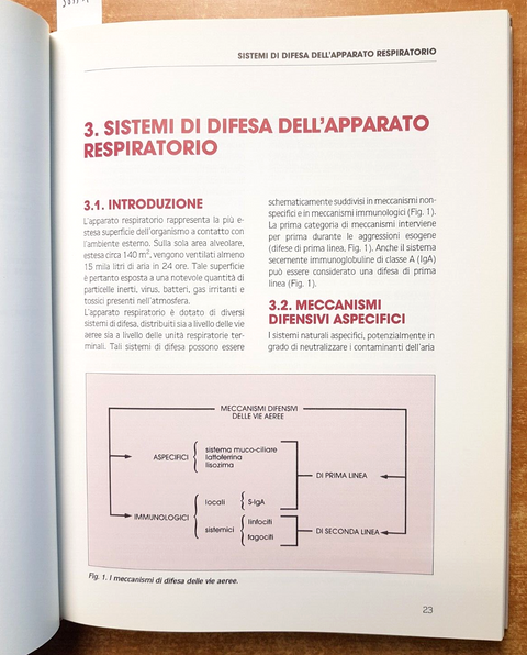 Infiammazione e broncopatie ostruttive - DALLEGRI, OTTONELLO 1993 UTET (385